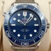 0c648d65-ae9a-58a0-92f5-abc2038eef7d (1) Omega Seamaster 300M 210.30.42.20.03.001