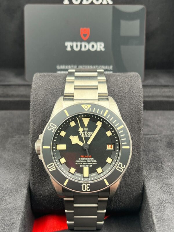 a2e46fac-bddc-5d82-92fe-95192bf50c23 Tudor Pelagos 25610TNL