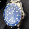 Tudor Pelagos 25600TB
