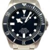 Tudor Pelagos 25600TN