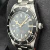 Tudor Black Bay 54 79000N