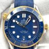 Omega Seamaster 210.22.42.20.03.001