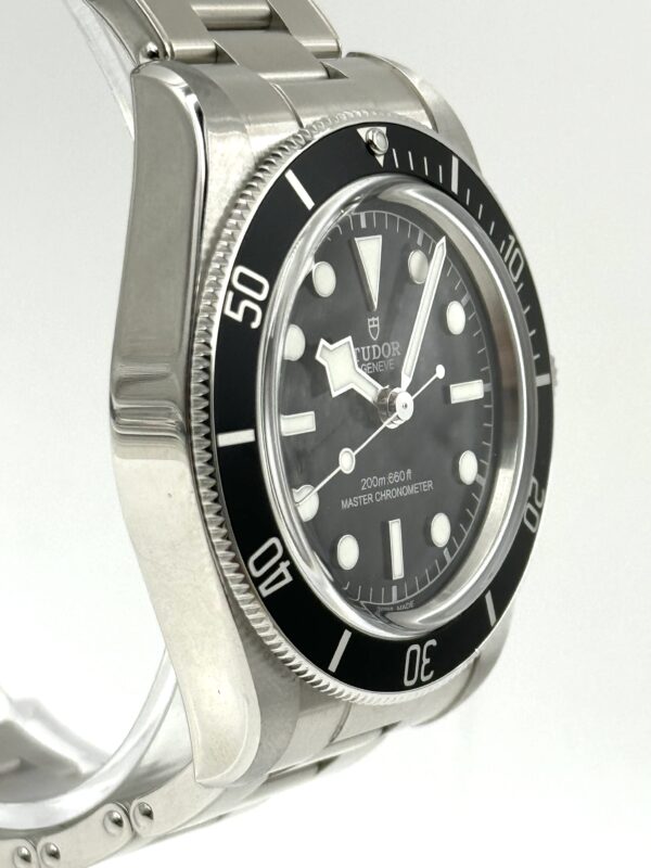 Tudor Black Bay Heritage Monochrome 7941A1A0NU