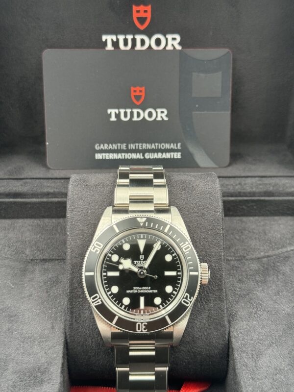 Tudor Black Bay Heritage Monochrome 7941A1A0NU