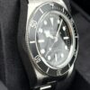 Tudor Black Bay Heritage Monochrome 7941A1A0NU