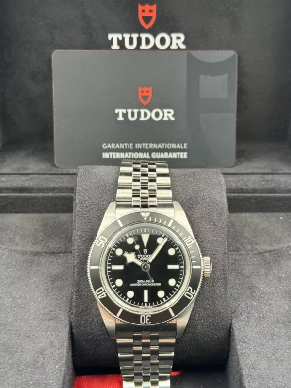 s-l1600 (71) Tudor Black Bay Heritage Monochrome 7941A1A0NU