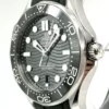 Omega Seamaster 300M 210.32.42.20.10.001