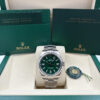 Rolex Oyster Perpetual 134300